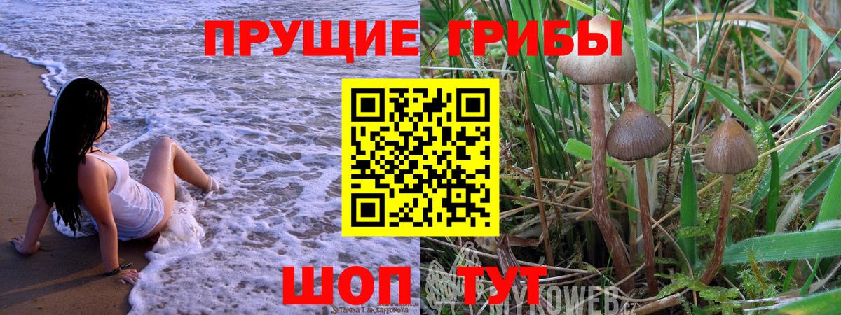 Псилоцибиновые грибы Cubensis Карталы